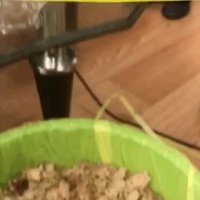 دستگاه روغنگیری دانه های روغنی