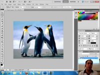 آموزش رایگان فتوشاپ-آشنایی با محیط فتوشاپ وتنظیمات