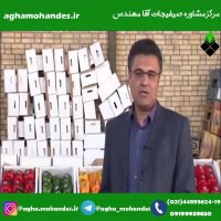 از تولید تا فروش و بازاریابی محصولات گلخانه ای