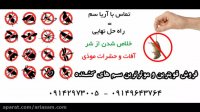 سم سوسک کش فوق حرفه ای تمپو - با عملکرد سریع