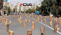 قطع درختان خیابان ظفر در تهران