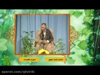 احمد احمد نعینع