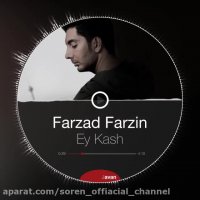 فرزاد فرزین اهنگ ای کاش