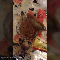 سمنو میان وعده برای ورزشکاران