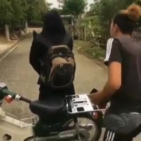 وقتی نمی فهمی از کجا خوردی