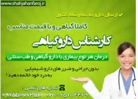 خرید گوجی بری تلفن سفارش 09120580638 +02165114469