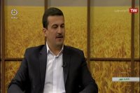 امین علی آبادی فوم بتن ایرانیان