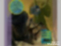 کتاب داستانهای سفارشی در داستانت