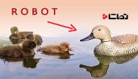 ساخت ربات اردک