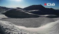 اثر هنری با قدم زدن بر روی برف