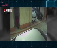 سارقان خونسرد ساعت ها مشغول دزدی بودند