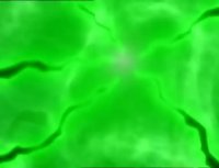 لاک پشت های نینجا فصل پنج قسمت 9