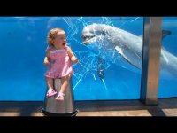 اتفاقات خنده دار بچه ها در باغ وحش