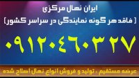 نهال گردو – نهال کرج | 09121263524