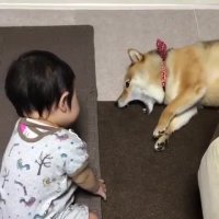 بچه رو سر کار گذاشته ها