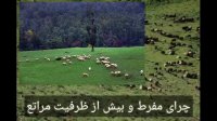 صنعت گلخانه و بیابان زدایی