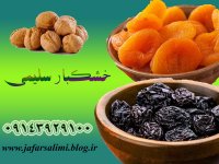 پرواز انسان