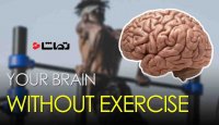 کمبود ورزش باعث تضعیف مغز می شود!