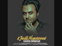 آهنگ جدید سیاوش قمصری به نام خیلی نگرونی