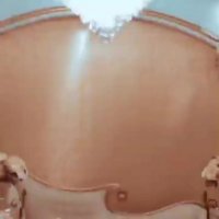 سالن عقد کلبه آرزوها در خیابان فرجام سمت تهرانپارس