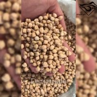 قیمت روز انواع نخود کرمانشاه