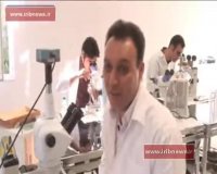 ایران، سومین کشور دارنده تلقیح مصنوعی ملکه زنبور عسل