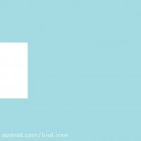 خرید محصولات بیول از آلیار