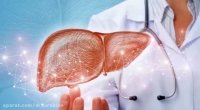 فیبرواسکن در کبد چرب