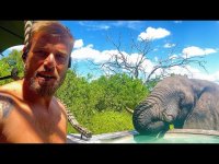 19 کلیپ خفن از برخورد نزدیک انسان با حیوانات وحشی