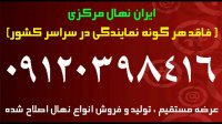 قیمت خرید و فروش انواع نهال گردو در شیروان | 09121243597