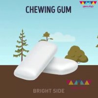 ⁣چقدر طول می‌کشد تا زباله‌ها تجزیه شوند؟