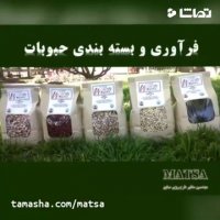 طرح توجیهی فرآوری و بسته بندی حبوبات