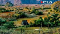 دره زیبای " وینالس " در کوبا
