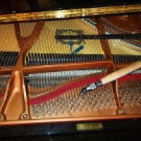 رگلاژ کامل و کوک پیانو 09125633895 رفع کلیه عیوب پیانوی شما