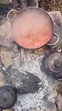 صبح رو باید اینجوری بخیر کرد