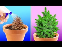 ایده های جالب پرورش گل و گیاه در خانه