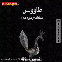 نمادهای روی عَلَم نشانه چیست ؟