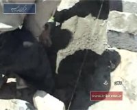 اردوهای جهادی در بروجن