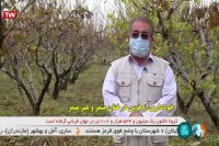 توصیه های هواشناسی کشاورزی 16 آذر 1399