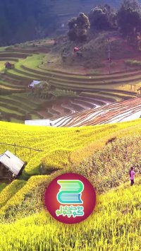 قصه شب دوجلدی (دوست جدید گلاب) قسمت 6