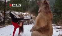 انجام حرکات آکروباتیک به همراه خرس