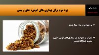 خواص بره موم برای بیماری های گوش حلق و بینی