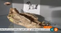 Iran Vertebrates fossil museum, Maragheh city موزه سنگواره مهره داران شهر مراغه ايران