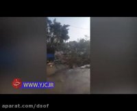 شکستگی و سقوط درختان در شهرک کیانشهر