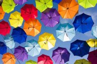 طراحی سایت فروشگاهی/ بخش 2- شرکت نونگار