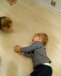 صحنه ای فوق العاده دیدنی