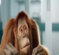 هر انسانی نیاز به یک دوست خوب داره!