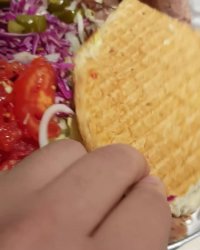 دونرگاردن پاسداران