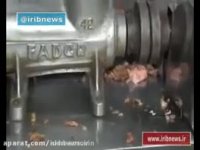 پشت پرده چلوکباب های  ۵۰۰۰ تومانی رو ببینید.!!