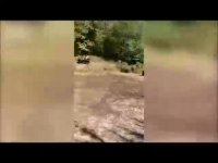 ویدیو : میکس : لحطه های فوق العاده دیدنی- جدید